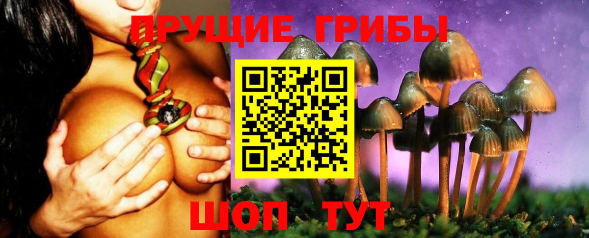 Краснознаменск  Галлюциногенные грибы ЛСД  Вход с VPN 